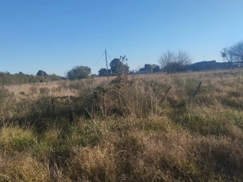 Preocupación en Coronel Brandsen por intentos de usurpación en el barrio Las Acacias