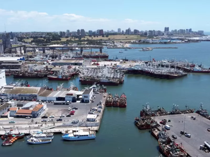 La Justicia Federal confirm&oacute; contaminaci&oacute;n peligrosa en el Puerto de Mar del Plata tras m&aacute;s de dos d&eacute;cadas de denuncias