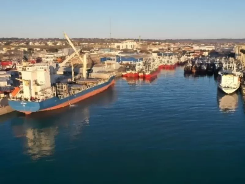 Mar del Plata vuelve a mirar al Puerto tras una denuncia que habla de 17 a&ntilde;os sin respuestas por las harineras