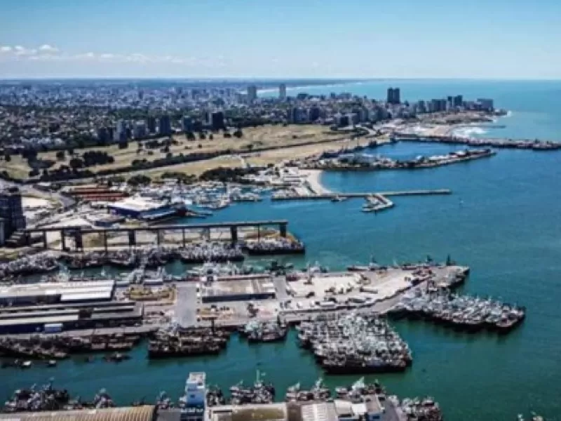 Mar del Plata enfrenta un dato alarmante: hallaron trimetilamina hasta 870 veces por encima de los l&iacute;mites de referencia