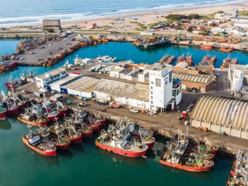 Un vecino denunci&oacute; que el puerto de Mar del Plata lo &ldquo;envenen&oacute;&rdquo; y apunt&oacute; contra gases industriales