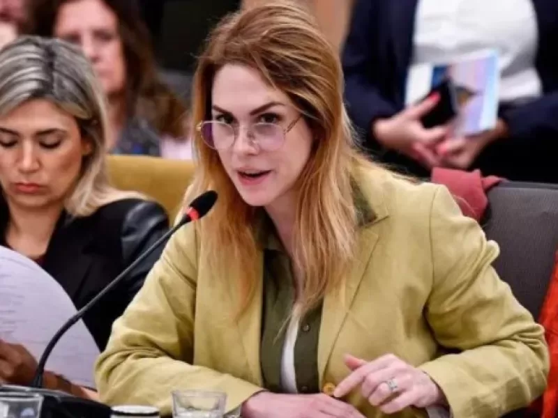 Gendarmería, Bullrich y el colador fronterizo que Lemoine no entendió