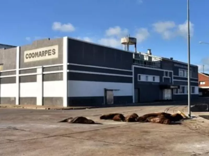 Crecen las dudas en Mar del Plata por una denuncia que vincula a Inchausti con presuntas fallas en los controles a harineras
