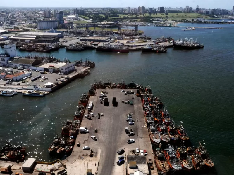 Mar del Plata vuelve a quedar expuesta por una causa ambiental que lleva m&aacute;s de 20 a&ntilde;os sin resoluci&oacute;n