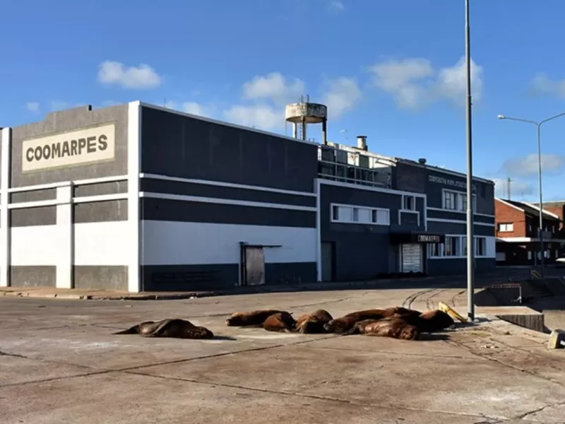 Un informe t&eacute;cnico revela irregularidades en plantas del puerto de Mar del Plata por falta de licencias y emisiones gaseosas