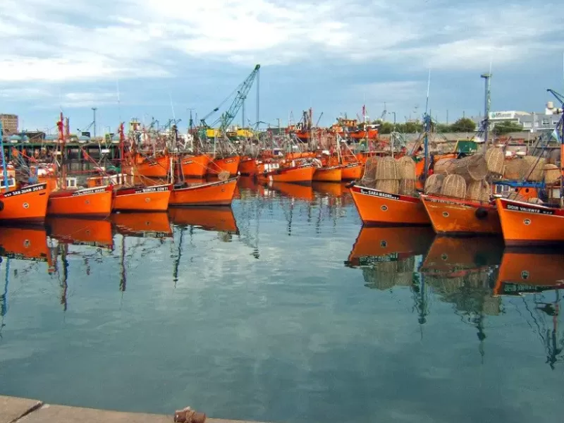 Recusan a un juez del Tribunal Oral Federal de Mar del Plata en una causa ambiental por supuesta falta de imparcialidad