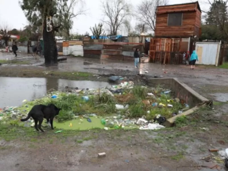 El intendente fantasma de La Plata: gobierna por redes mientras los motochorros gobiernan las calles