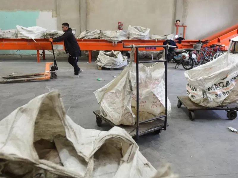 Alak recicla promesas y tira 400 cartoneros al tacho de la licitaci&oacute;n en La Plata