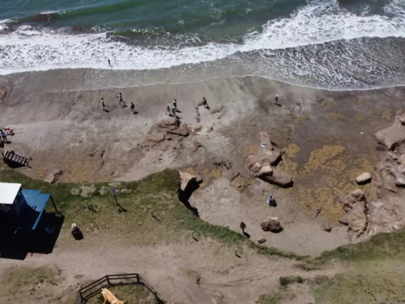 En Mar del Plata confirmaron la cautelar que impide intervenciones en la franja costera en litigio ambiental