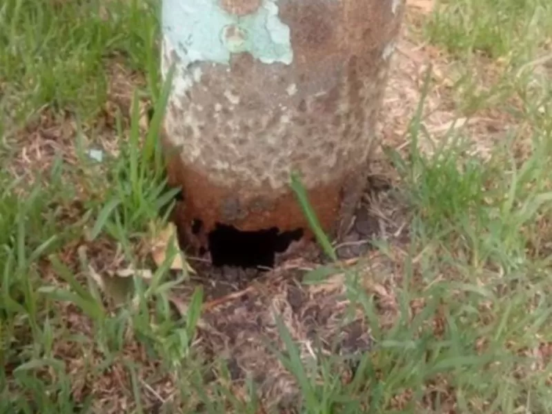 Una indemnizaci&oacute;n millonaria en Mar del Plata tras la ca&iacute;da de una columna que da&ntilde;&oacute; un veh&iacute;culo estacionado