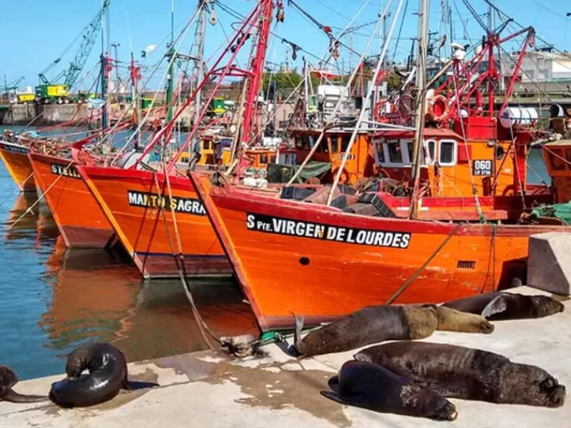 En Mar del Plata revelan un sistema de informes adulterados que habr&iacute;a encubierto contaminaci&oacute;n en el puerto durante a&ntilde;os
