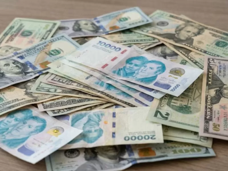 El Gobierno no renov&oacute; toda la deuda en pesos, liber&oacute; 0,5 billones y busc&oacute; bajar tasas