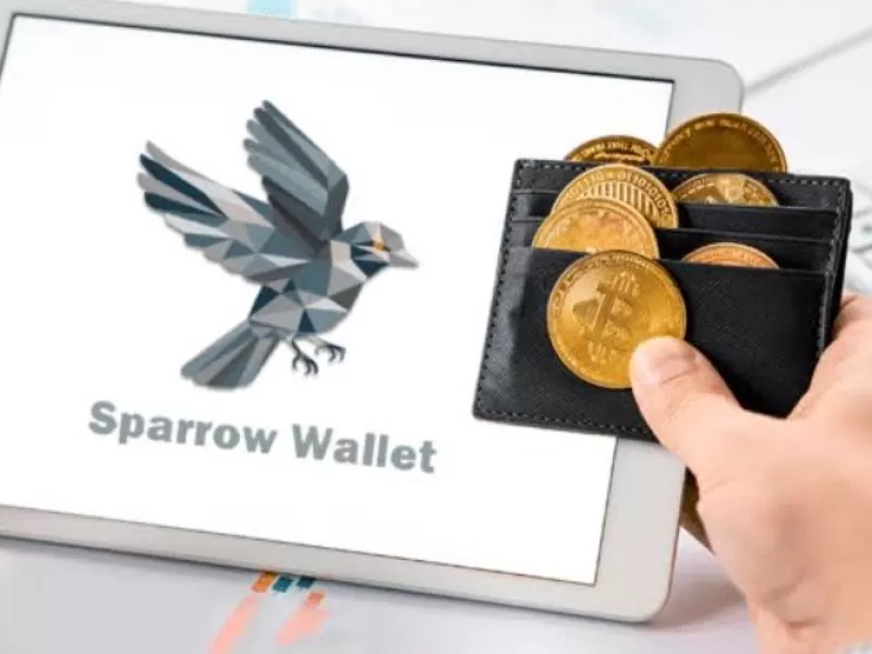 Sparrow actualiz&oacute; su wallet a la versi&oacute;n 2.5.4 con parches para BitBox02, Ledger y copias de seguridad