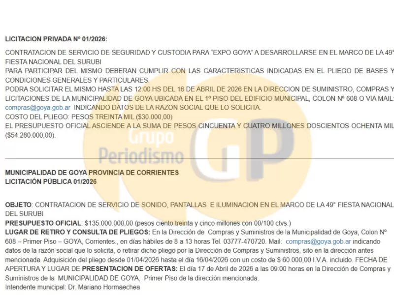 Corrientes gast&oacute; casi 190 millones solo en seguridad, sonido e iluminaci&oacute;n para la Fiesta del Surub&iacute;