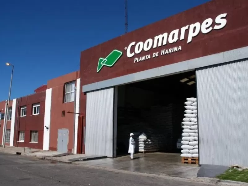 Mar del Plata vuelve a quedar bajo la lupa por las denuncias de Maturana contra las harineras del puerto