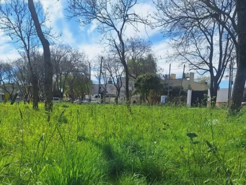 Reclamo en Aeroparque por el estado de una plaza: hamacas rotas, hierros oxidados y pastizales en Mar del Plata