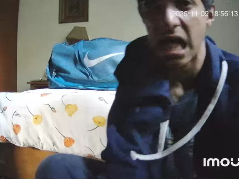 Un ladrón vació una casa en La Plata mientras la dueña miraba televisión