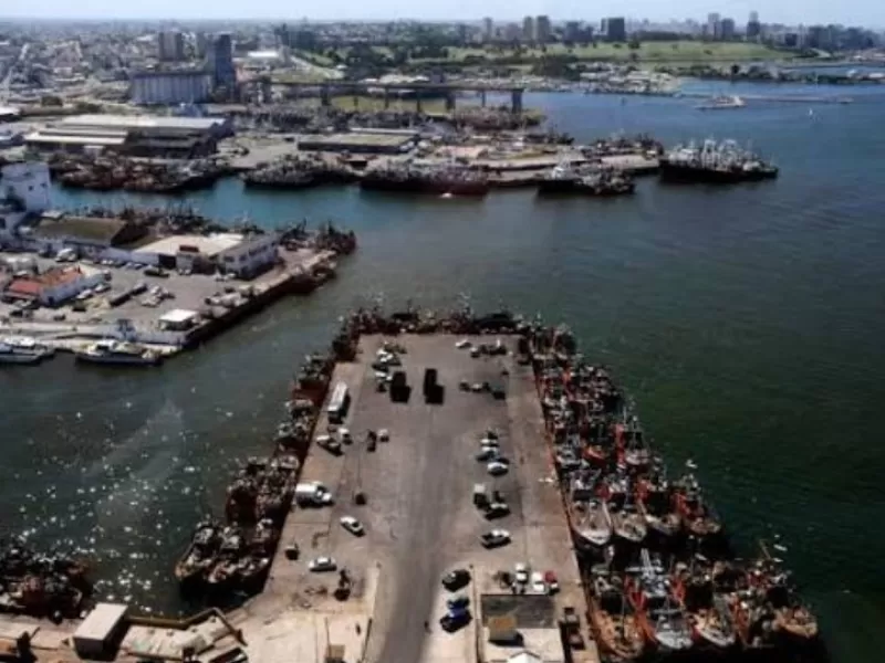 Ampl&iacute;an en Mar del Plata la denuncia por contaminaci&oacute;n y apuntan contra organismos que deb&iacute;an controlar a las harineras