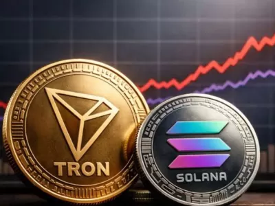 Empresas vinculadas a Solana y Tron reforzaron sus tesorer&iacute;as con nuevas compras y una emisi&oacute;n por 11 millones de d&oacute;lares