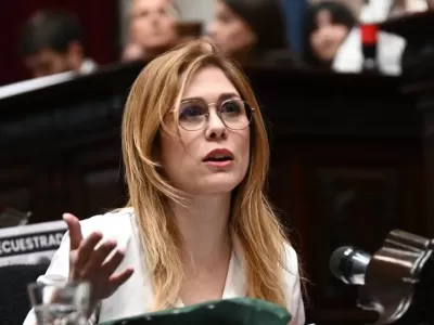 Cruce institucional tras dichos de Lilia Lemoine sobre un ni&ntilde;o activista y su entorno familiar
