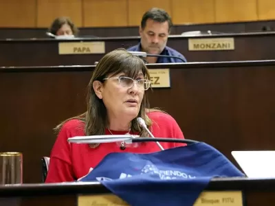 Neuqu&eacute;n: exdiputada Gabriela Suppicich qued&oacute; bajo la lupa en la causa por presunto desv&iacute;o de fondos del gobierno de Omar Guti&eacute;rrez