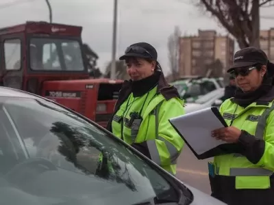 Mar del Plata en vilo: nueva causa de Tránsito sacude a la oficina de licencias