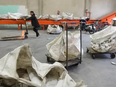 Alak recicla promesas y tira 400 cartoneros al tacho de la licitaci&oacute;n en La Plata