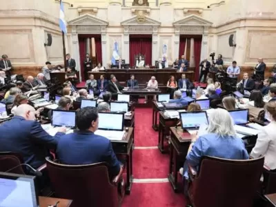 El Senado qued&oacute; bajo presi&oacute;n tras el pedido de Ignacio Zavaleta para frenar la reforma de la Ley de Tierras