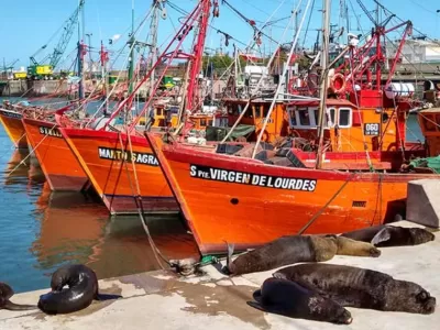 En Mar del Plata revelan un sistema de informes adulterados que habr&iacute;a encubierto contaminaci&oacute;n en el puerto durante a&ntilde;os