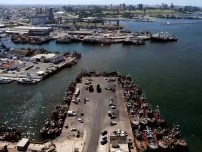 Ampl&iacute;an en Mar del Plata la denuncia por contaminaci&oacute;n y apuntan contra organismos que deb&iacute;an controlar a las harineras